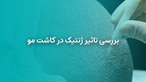 تاثیر ژنتیک در کاشت مو